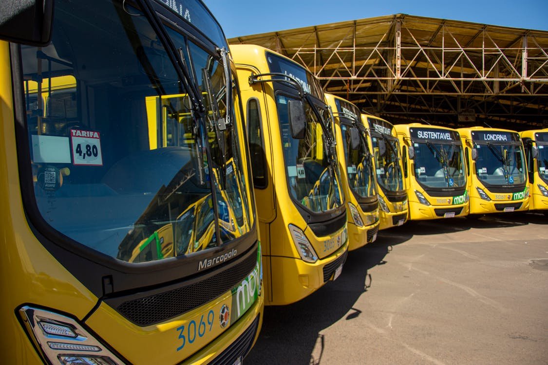 free-photo-of-red-buses-in-sunlight